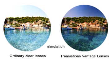 Transistions Vantage Lenses